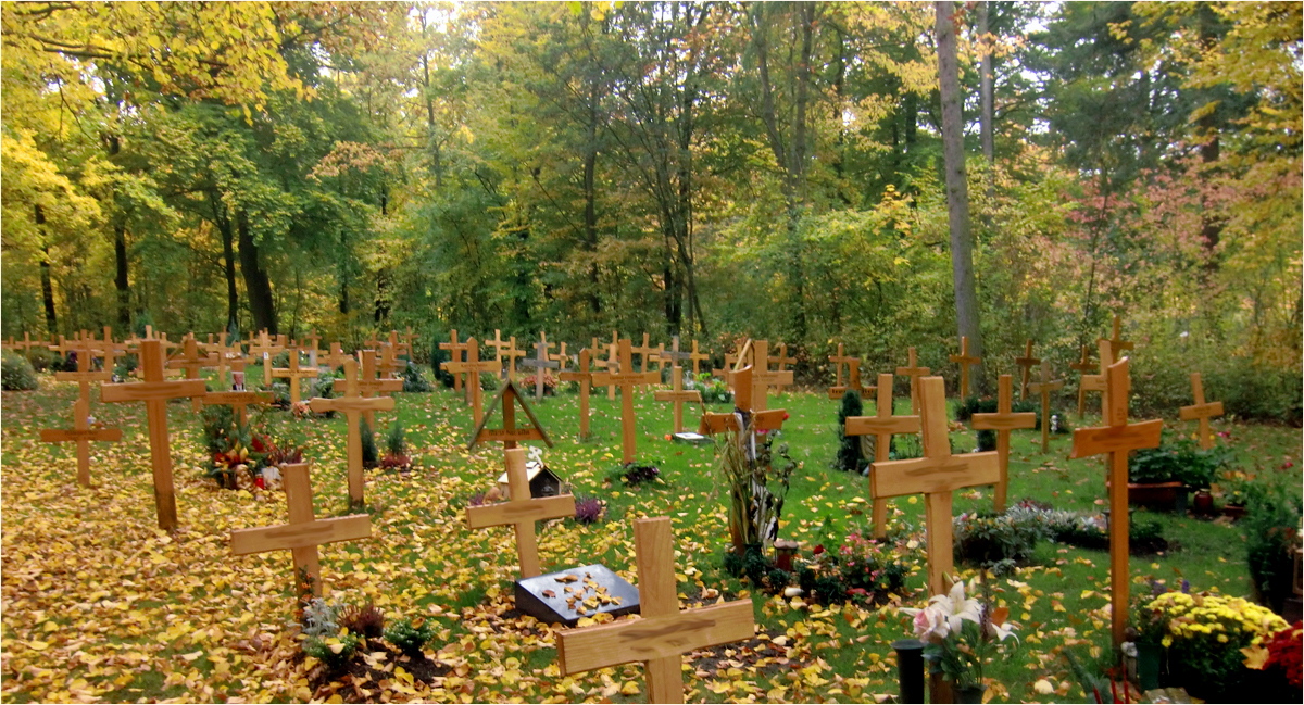 Friedhöfe - der Waldfriedhof in Würzburg (2)