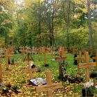 Friedhöfe - der Waldfriedhof in Würzburg (2)