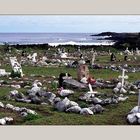 Friedhöfe der Welt - Osterinsel (Rapa Nui)