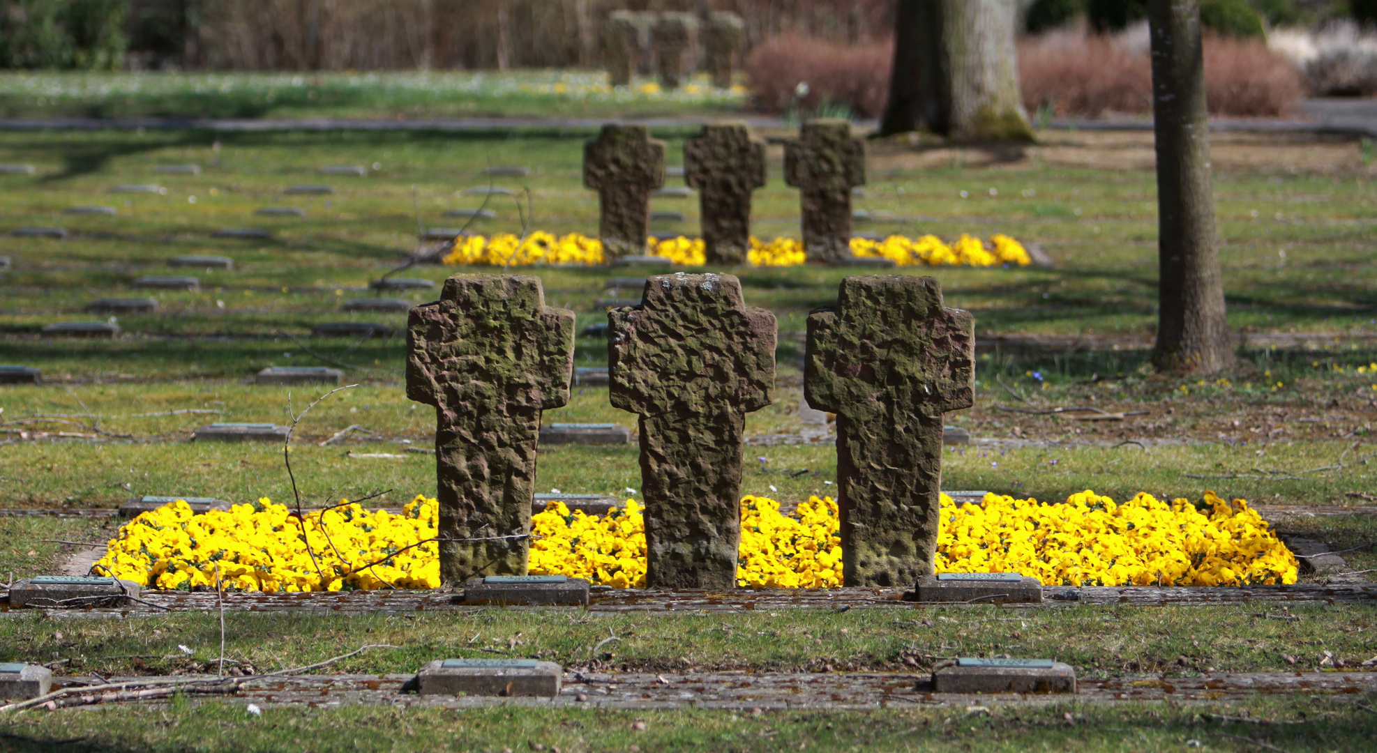 Friedhöfe in Hanau und Mainz