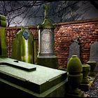 Friedhof 02