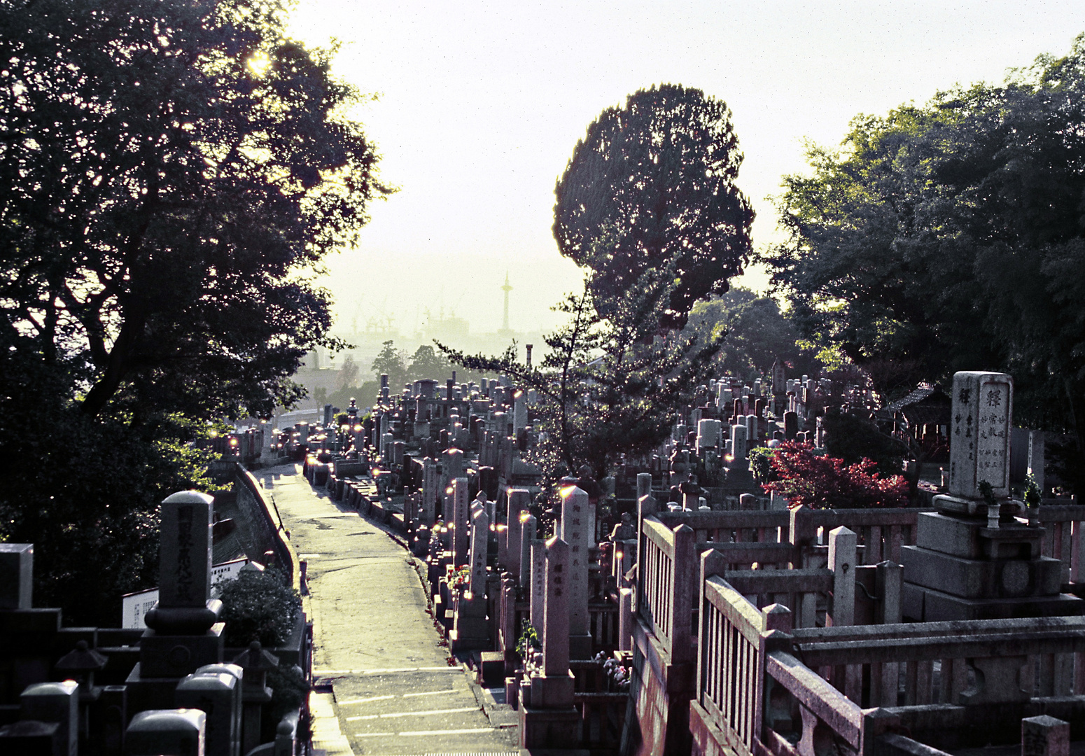 Friedhof 02