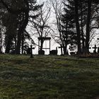 Friedhof 1