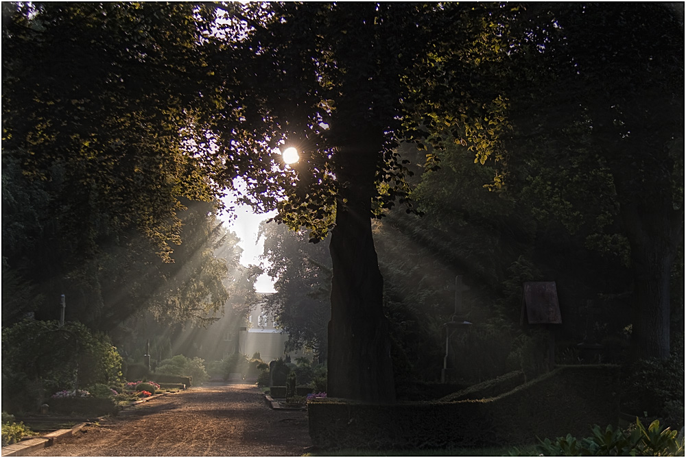 Friedhof 1 (Cemetery)