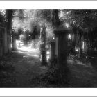 Friedhof ...