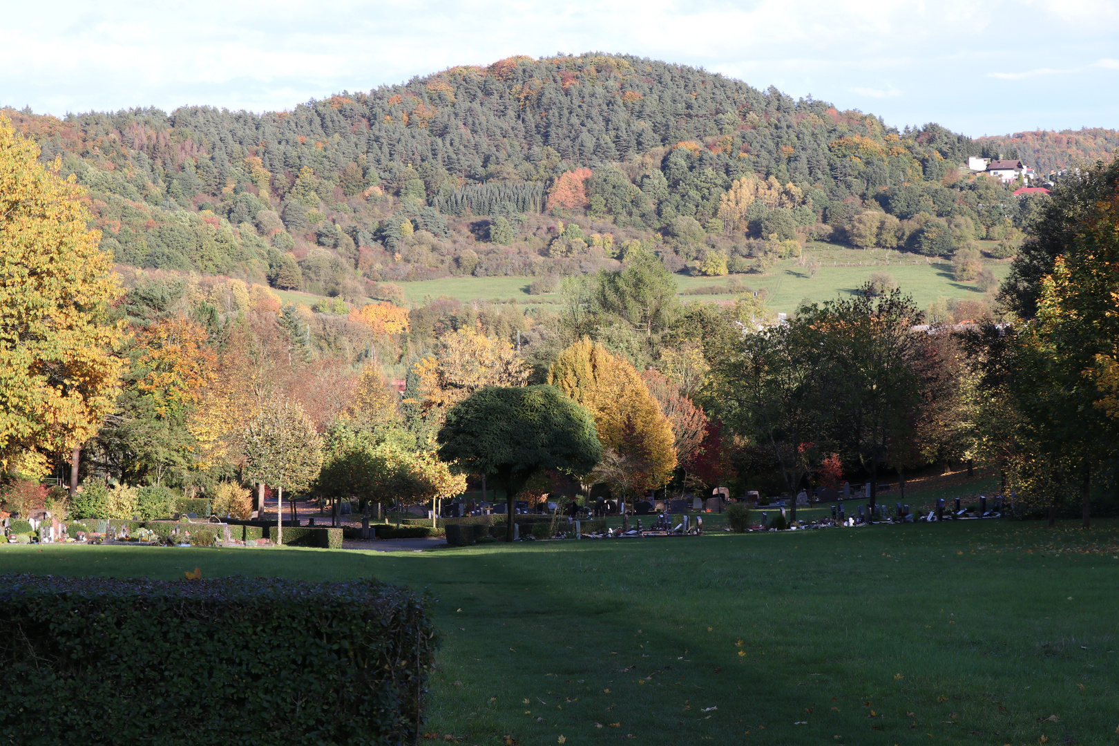 Friedhof