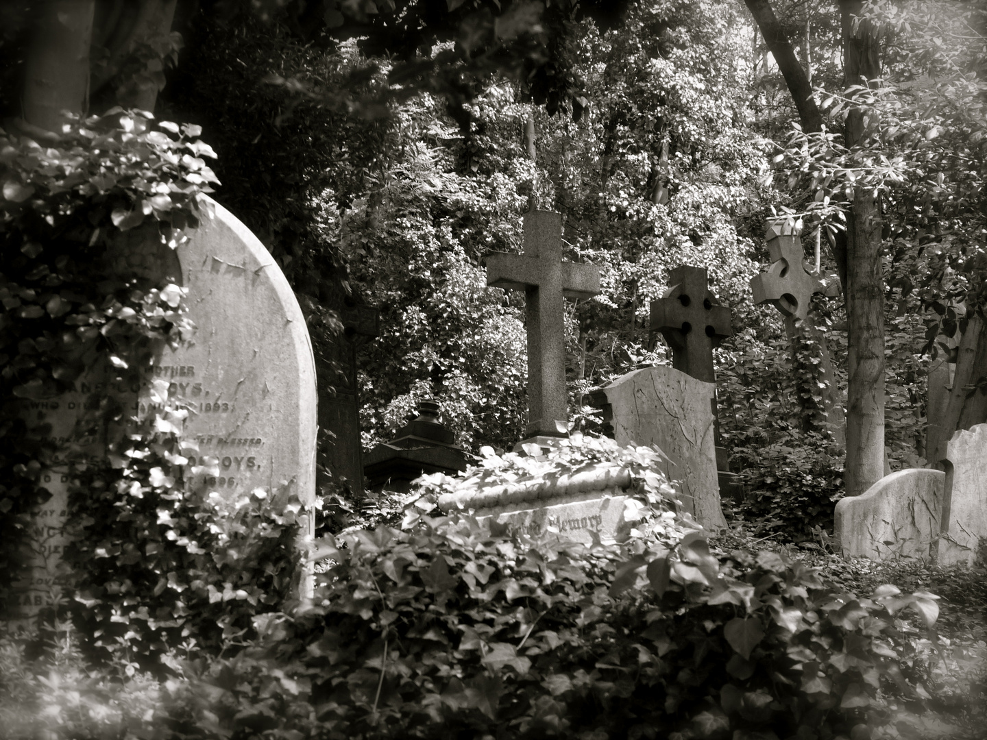 Friedhof