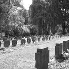 Friedhof 4