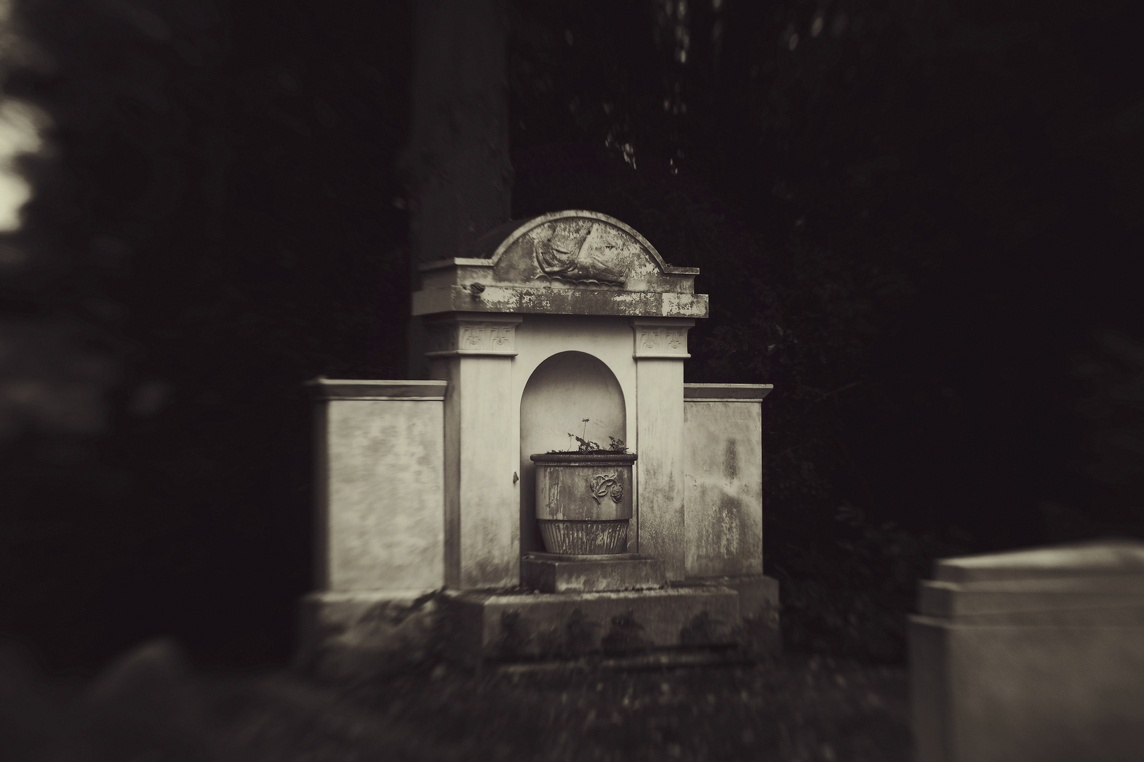 Friedhof