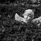 Friedhof 9 - Serie