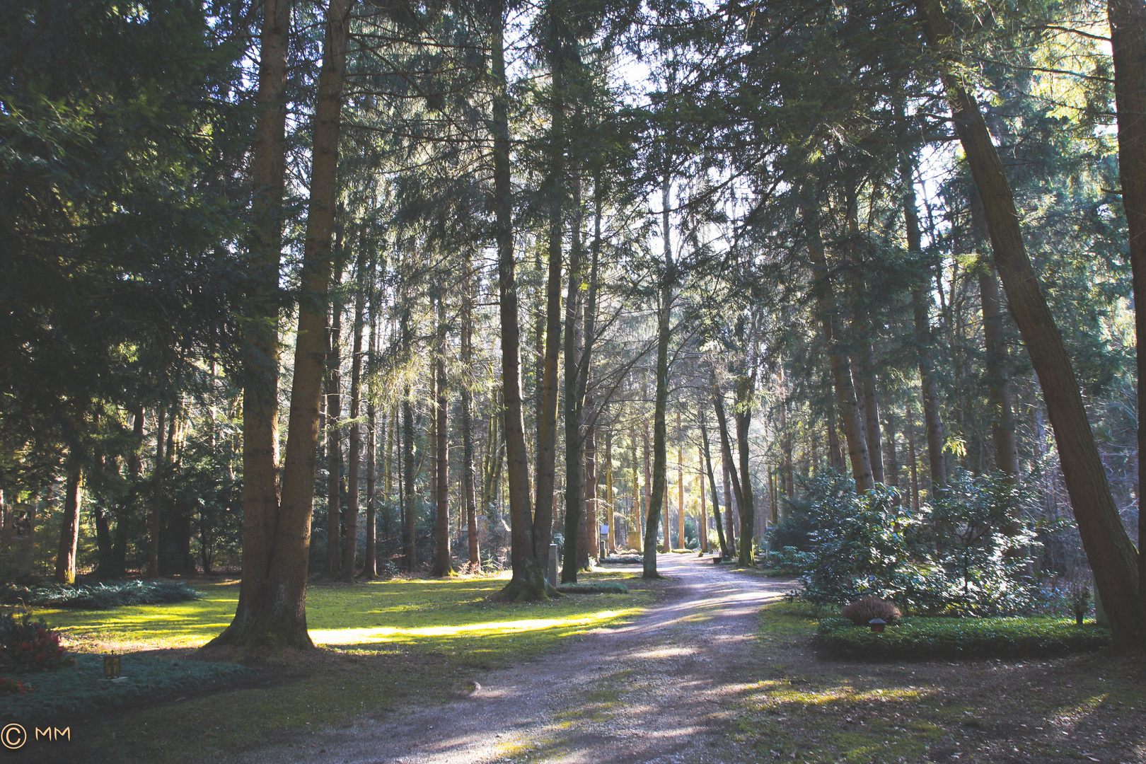 Friedhof