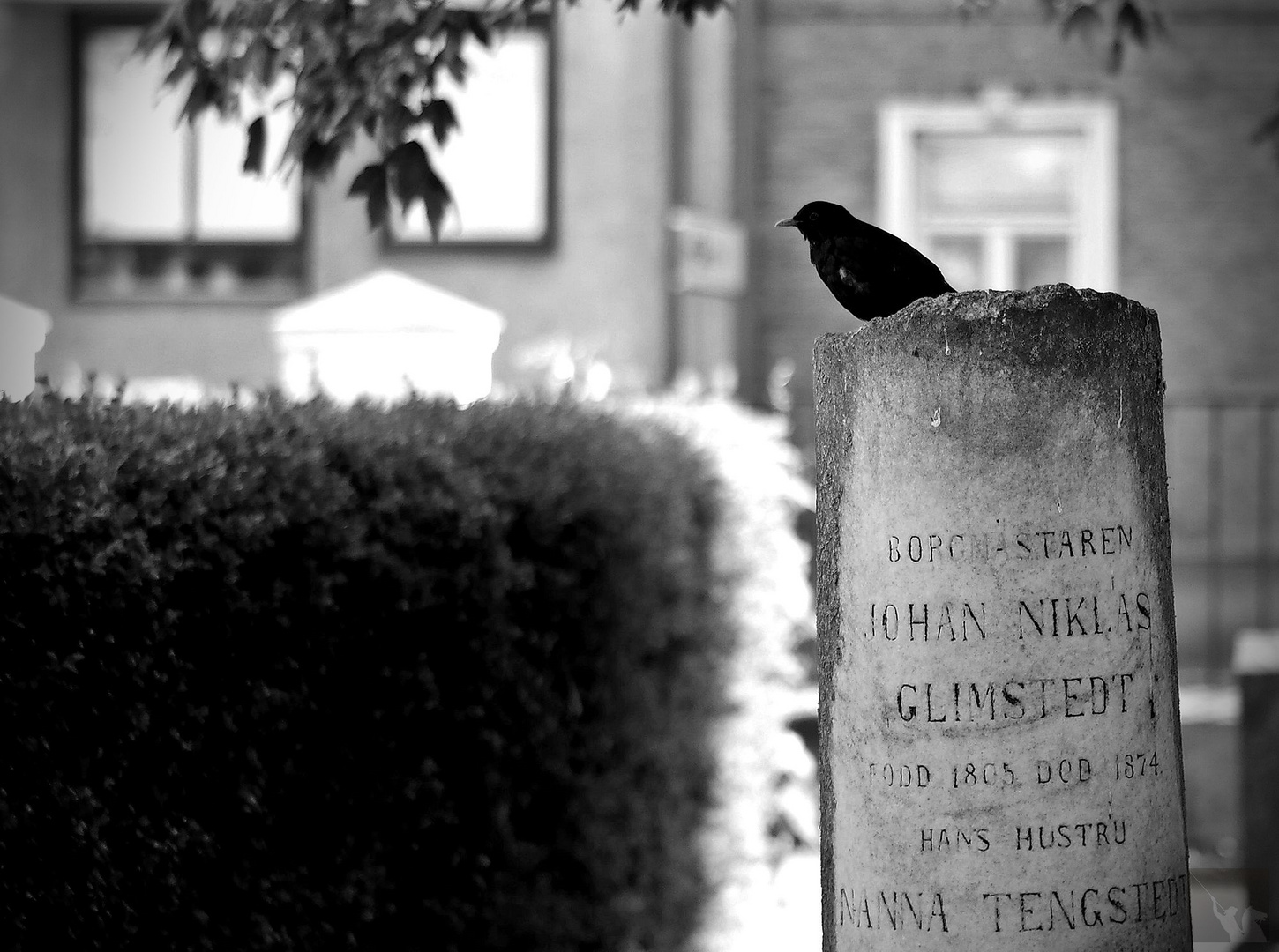 Friedhof Ängelholm