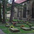 Friedhof am Dom zu Münster / Westfalen