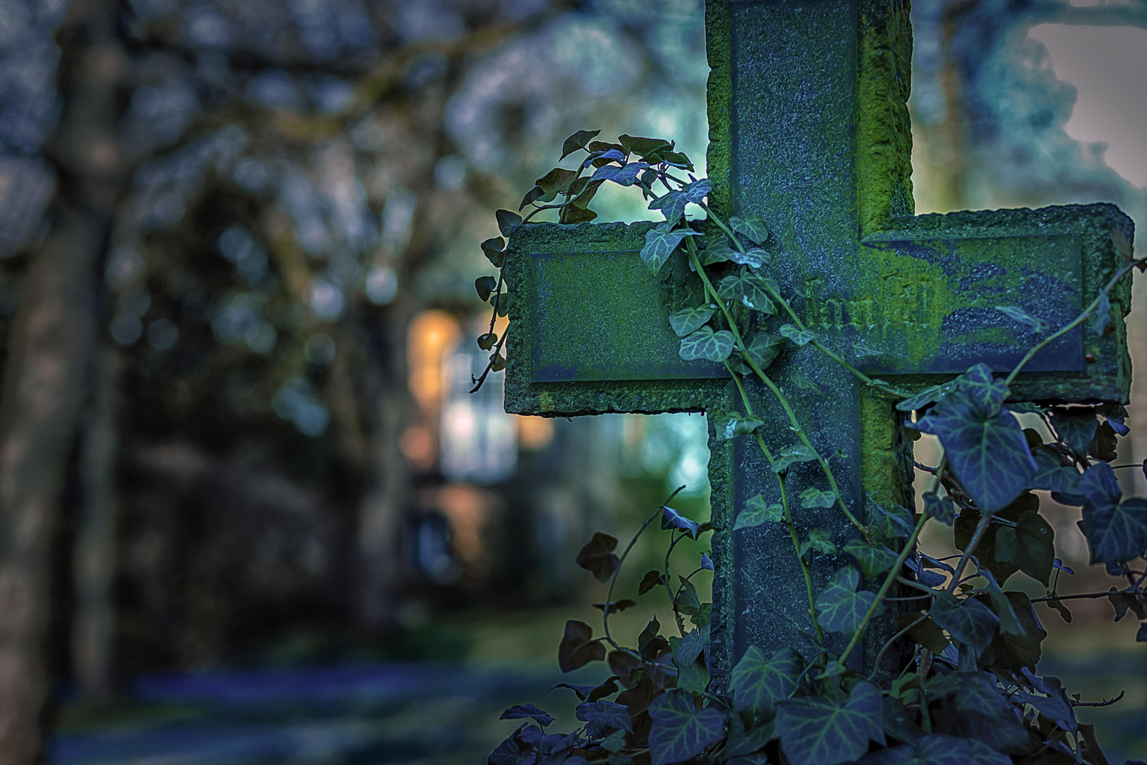 Friedhof am Lindener Berg zur Scilla Blüte