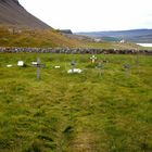 Friedhof am Rauðasandur