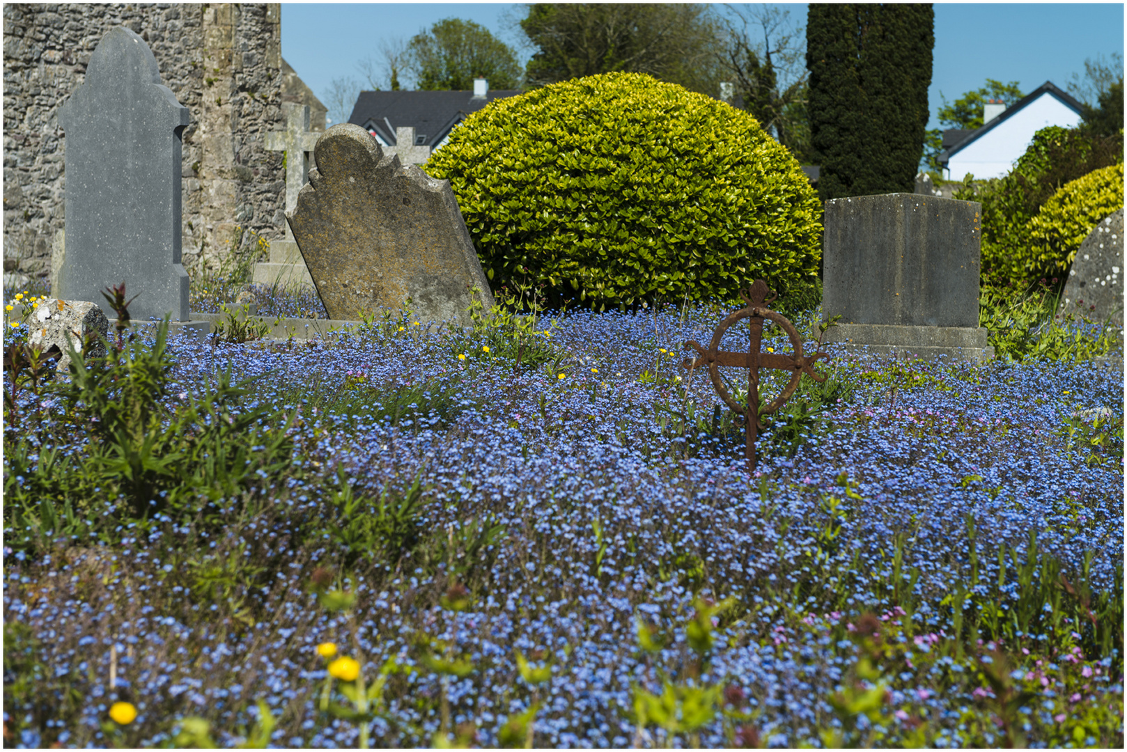 Friedhof an der Kathedrale St. Coleman in Cloyne (Irland)