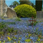 Friedhof an der Kathedrale St. Coleman in Cloyne (Irland)