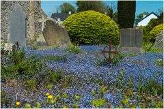 Friedhof an der Kathedrale St. Coleman in Cloyne (Irland)