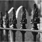 Friedhof an der Kathedrale St. Coleman in Cloyne (Irland) 