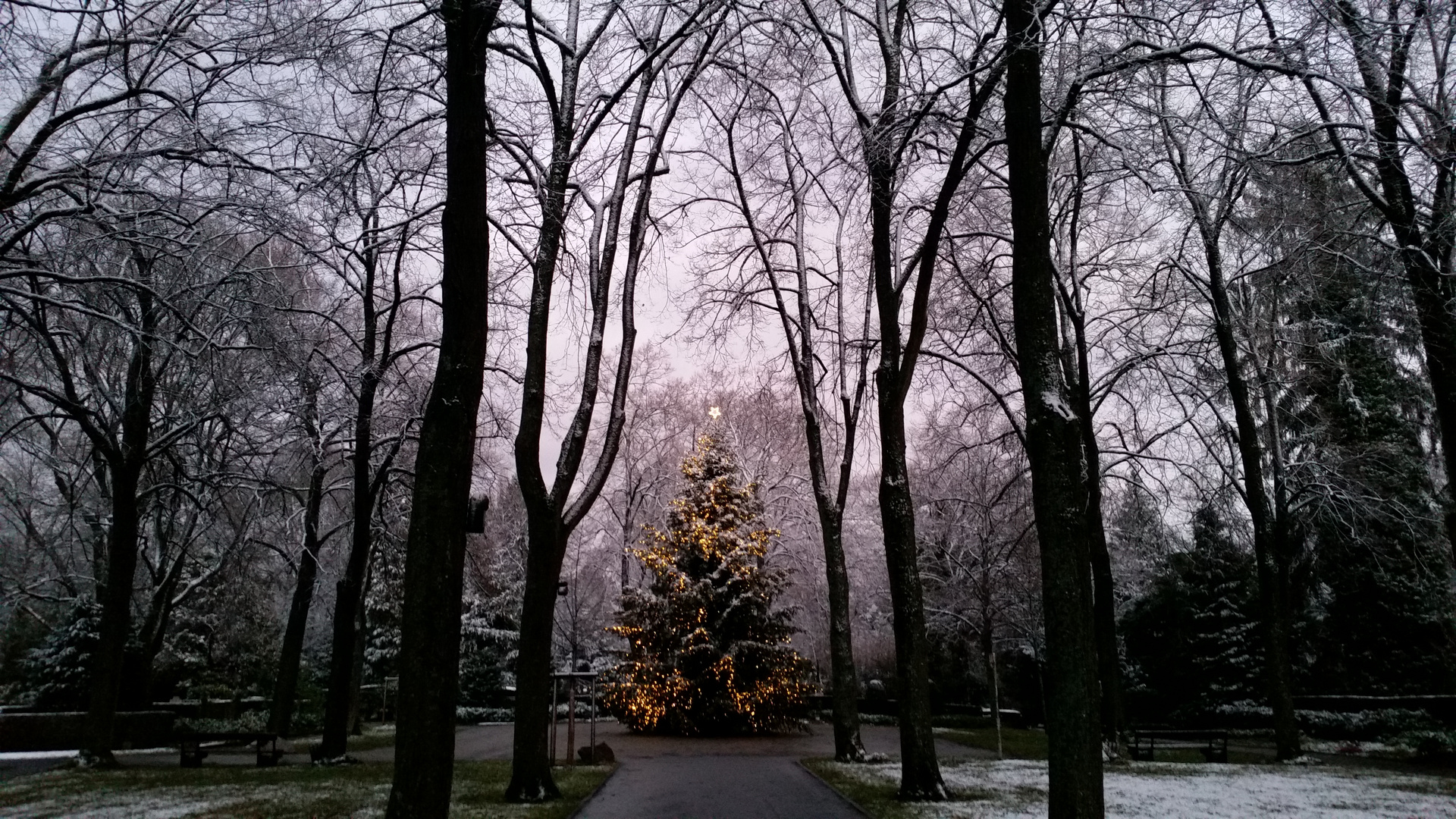 Friedhof an Weihnachten