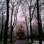 Friedhof an Weihnachten