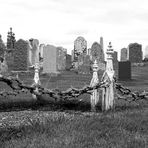 Friedhof auf den Shetland Inseln (2)