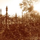 Friedhof auf Rügen