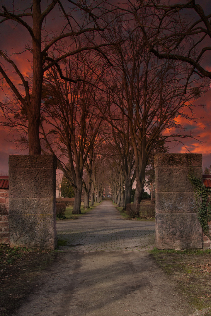 Friedhof - Ausgang