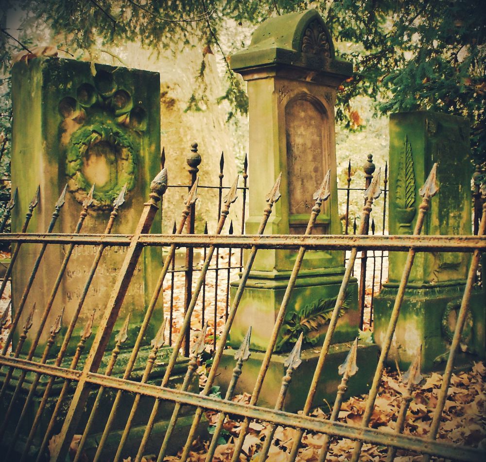 Friedhof