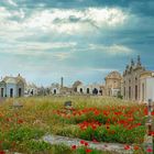 Friedhof Bonifacio II