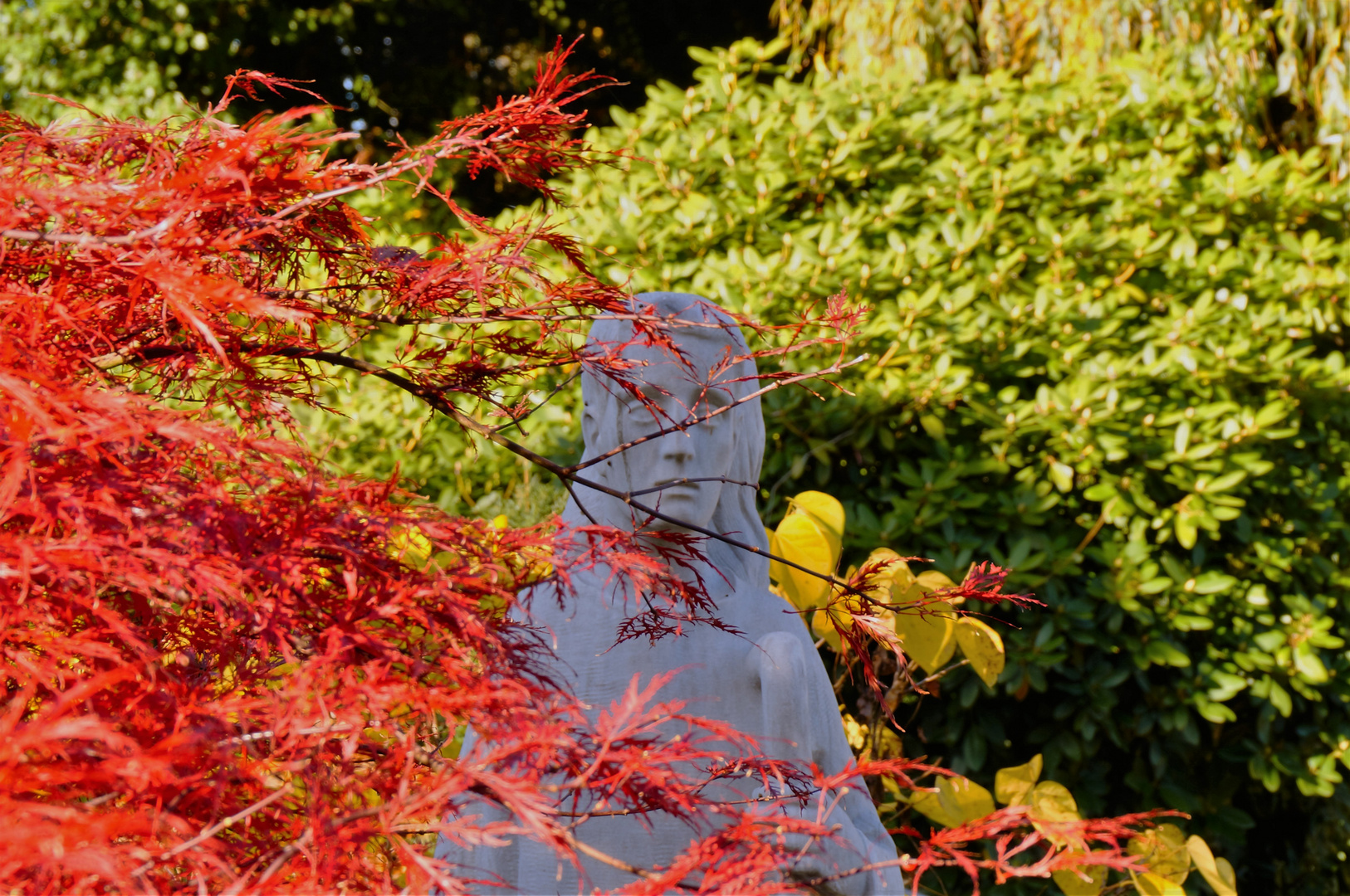 ....Friedhof Bottrop...Okt 2016