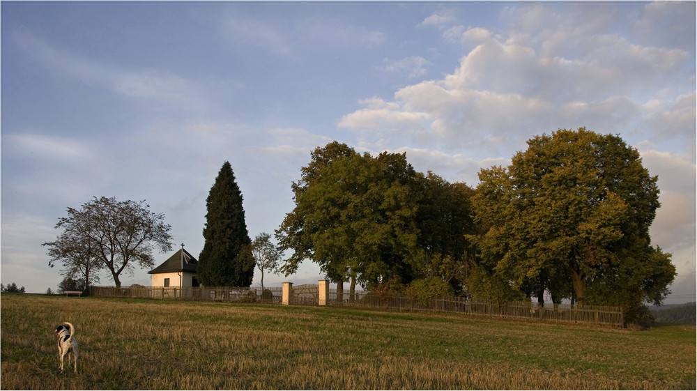 FRIEDHOF BREITENBRUNN