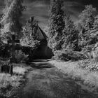 Friedhof Burgdorf Infrarotpanorama