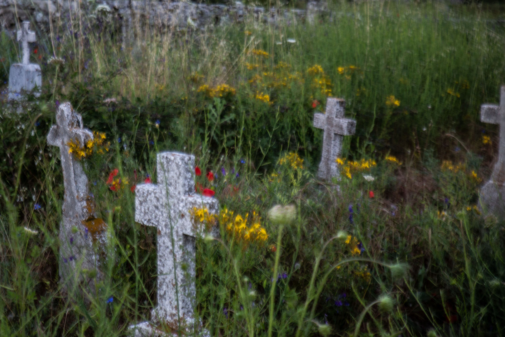 Friedhof Callacuccia 9