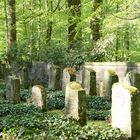 Friedhof...