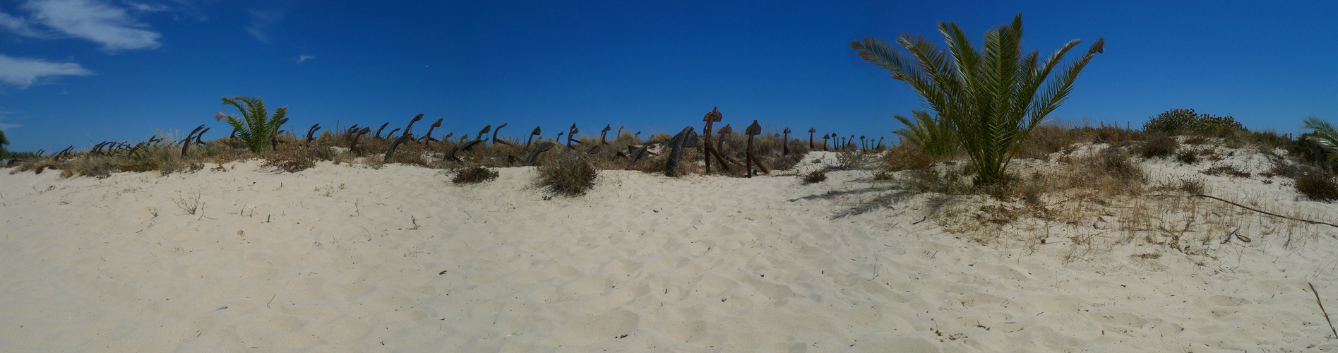 Friedhof der Anker