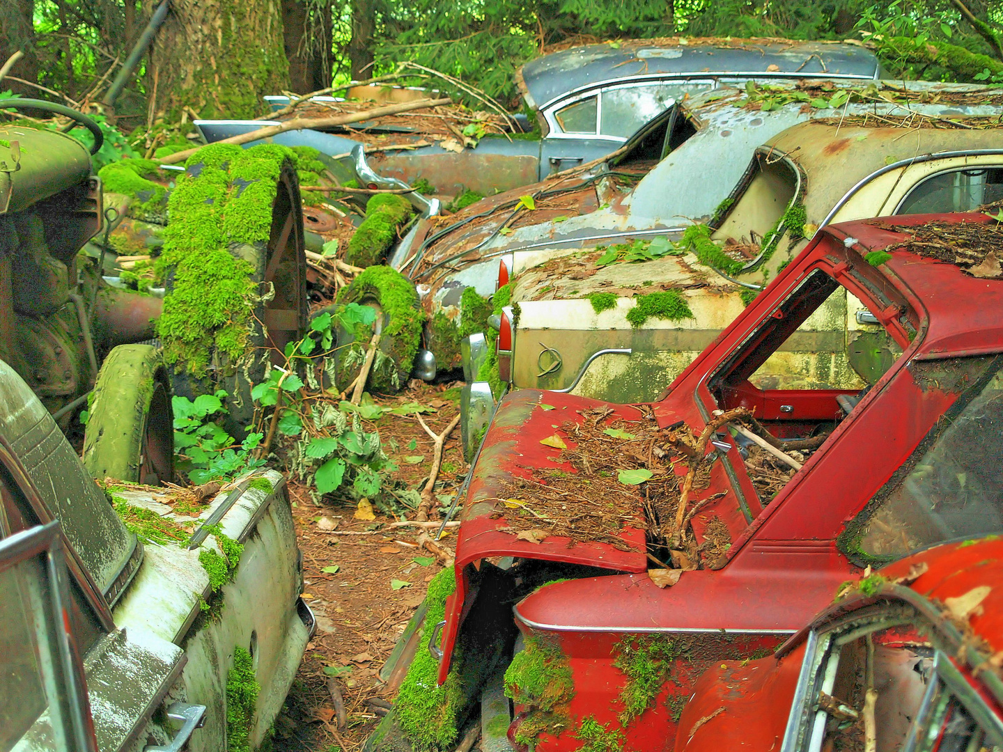 Friedhof der Auto's