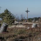 Friedhof der Bäume