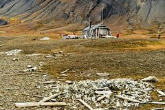 Friedhof der Belugas                              DSC_7558