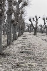 Friedhof der Herrnhuter Brüder Unität