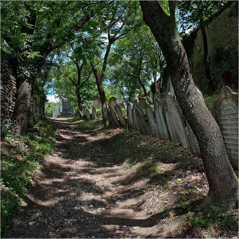 Friedhof der Juden