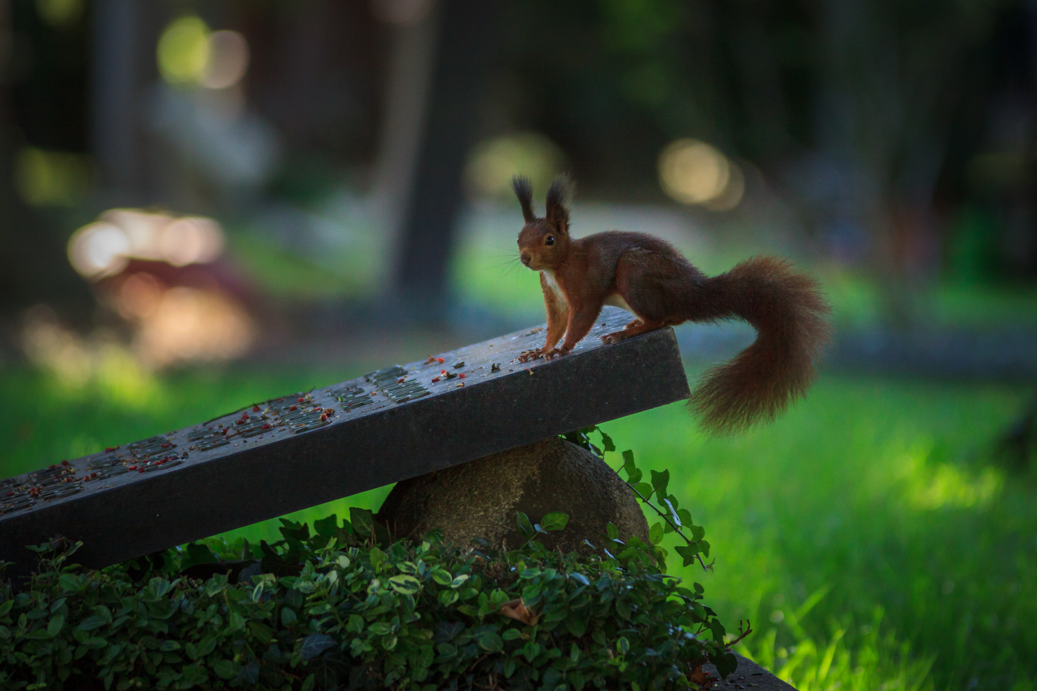 Friedhof der Kuscheltiere