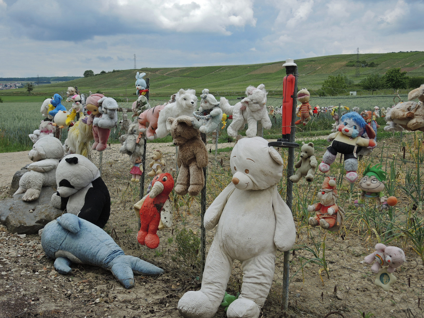 Friedhof der Kuscheltiere