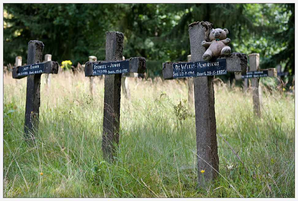 Friedhof der Kuscheltiere