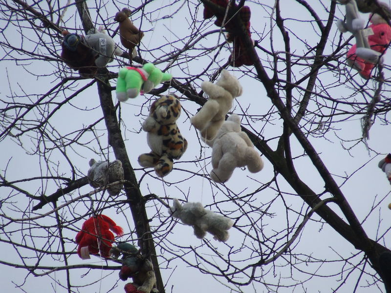 Friedhof der Kuscheltiere