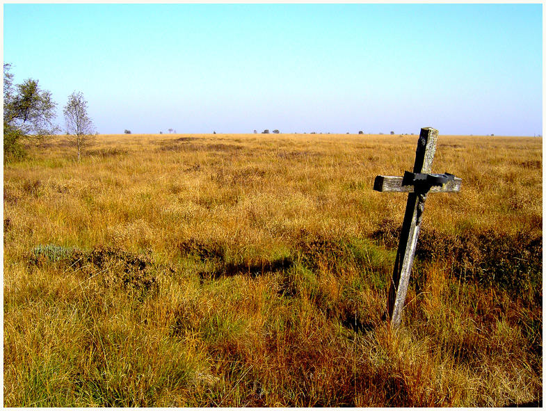 Friedhof der Moorleichen?