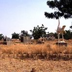 Friedhof der Mossi-Könige in Burkina Faso