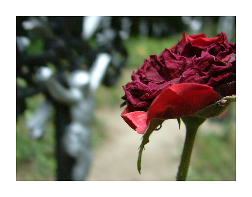 Friedhof der Namenlosen