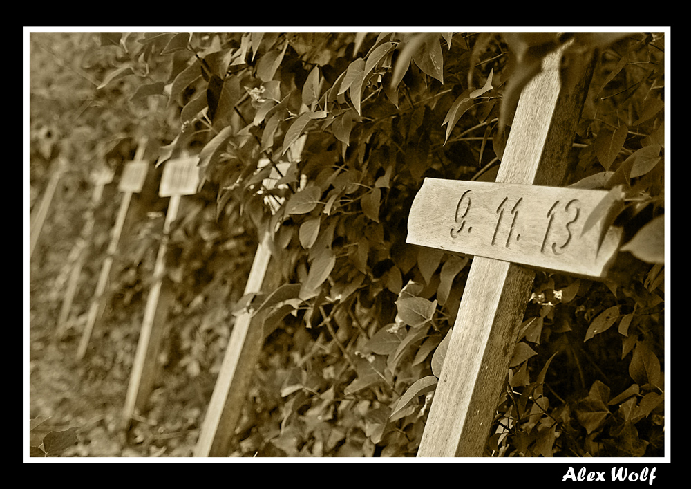 Friedhof der Namenlosen