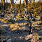 Friedhof der Namenlosen in Wien